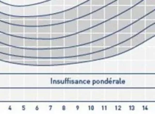 Prise en charge nutritionnelle du surpoids et de l’obésité de l’enfant et de l’adolescent en France