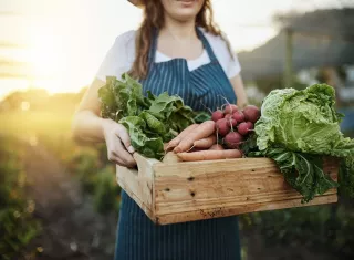 une fermière porte un panier de légumes