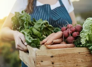 une fermière porte un panier de légumes